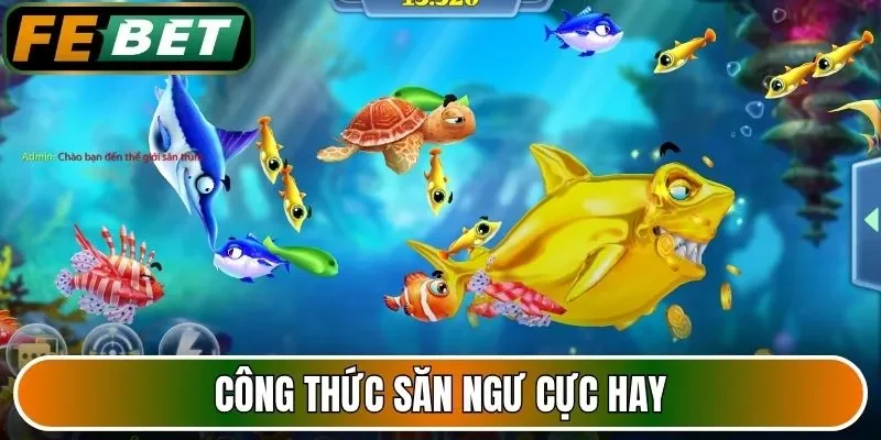 Công thức săn ngư cực hay