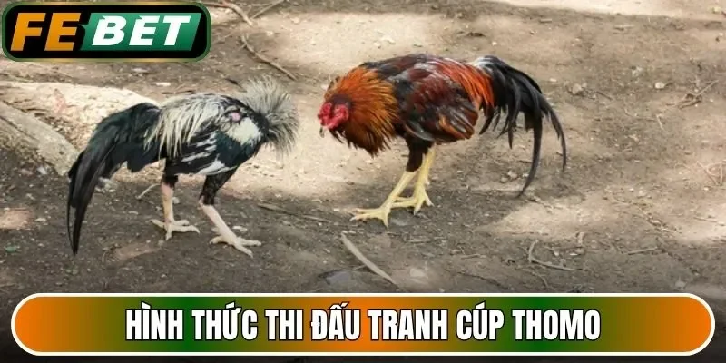 Hình thức thi đấu tranh cúp Thomo