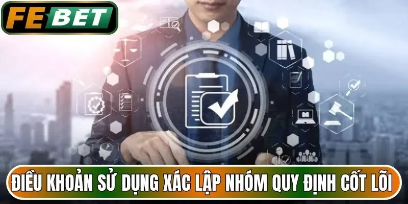 Điều khoản sử dụng xác lập bốn nhóm quy định cốt lõi 