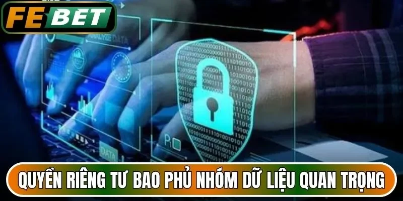 Quyền riêng tư bao phủ bốn nhóm dữ liệu quan trọng